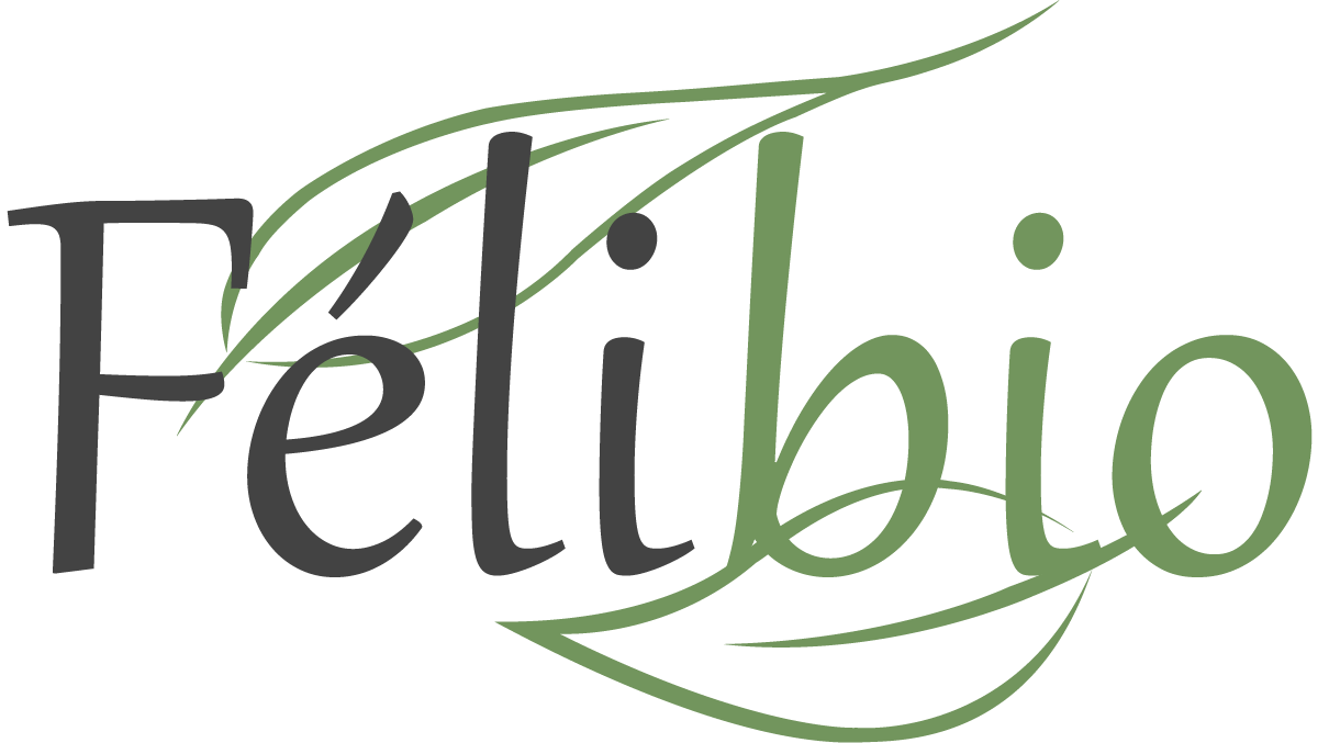 Felibio