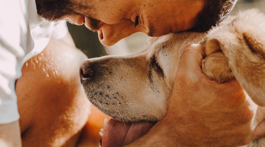 Pourquoi utiliser un antiparasitaire naturel pour chien ?