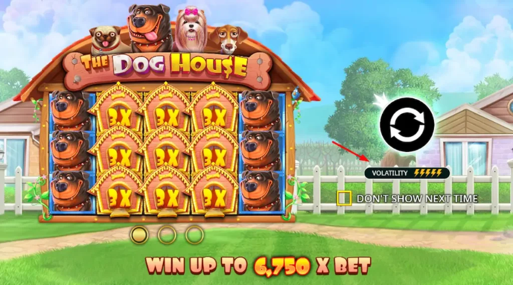 volatilité_Doghouse
